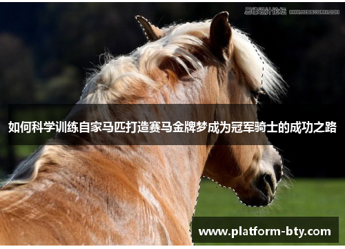 如何科学训练自家马匹打造赛马金牌梦成为冠军骑士的成功之路