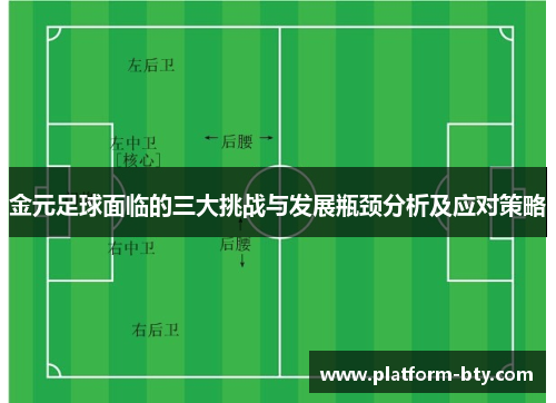 金元足球面临的三大挑战与发展瓶颈分析及应对策略